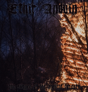 The Silence of the Ancient Forests